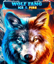Wolf Fang - Ice & Fire