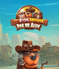 The Dog House - Dog or Alive