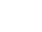 Penguin King