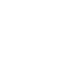 Penguin King