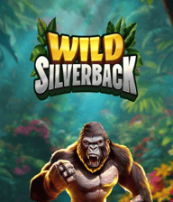 Wild Silverback