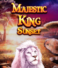Majestic King - Sunset