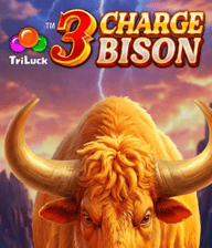3 Charge Bison