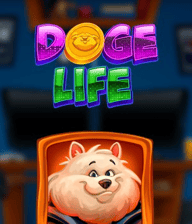 Doge Life