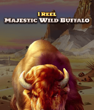 1 Reel - Majestic Wild Buffalo