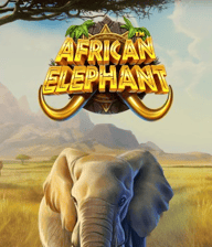 African Elephant