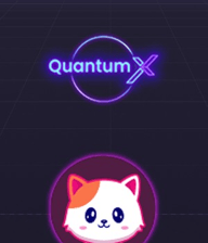 Quantum X