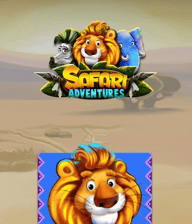 Safari Adventures