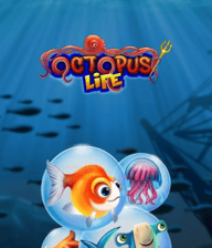 Octopus Life