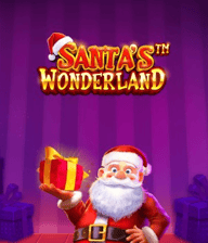 Santa's Wonderland