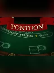 Pontoon 21