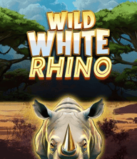 Wild White Rhino