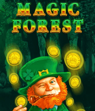 Magic Forest