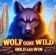 Wolf Gone Wild Hold and Win