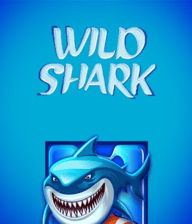 Wild Shark