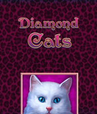 Diamond Cats