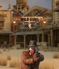 Wild Guns