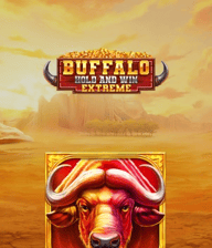 Buffalo Hold and Win Extreme
