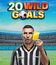 20 Wild Goals