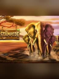 Stampede