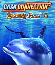 Cash Connection Dolphin's Pearl