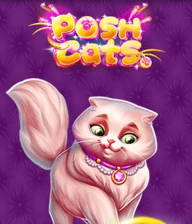 Posh Cats