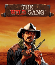 The Wild Gang