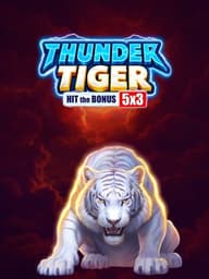 Thunder Tiger Hit the Bonus