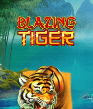 Blazing Tiger