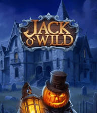 Jack O'Wild