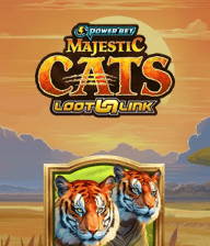 Majestic Claws - Wild Snow