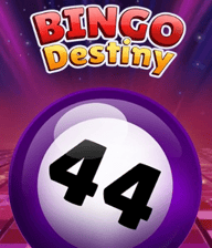Bingo Destiny