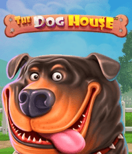 The Dog House