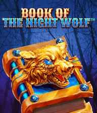 Book Of The Night Wolf