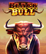 Black Bull