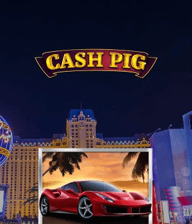 Cash Pig