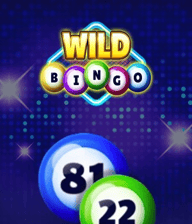 Wild Bingo