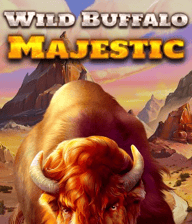 Majestic Wild Buffalo