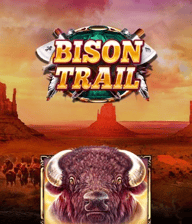 Bison Trail