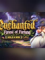 Enchanted: Forest of Fortune - Hold & Win