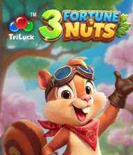 3 Fortune Nuts