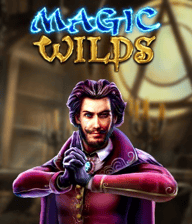 Magic Wilds