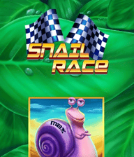 Snail Race