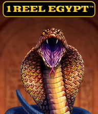 1 Reel Egypt