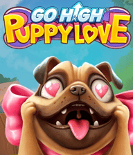 Go High Puppy Love
