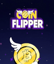 Coin Flipper