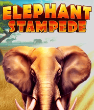 Elephant Stampede