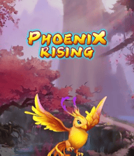 Phoenix Rising