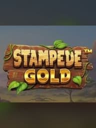 Stampede GOLD