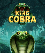 King Cobra
